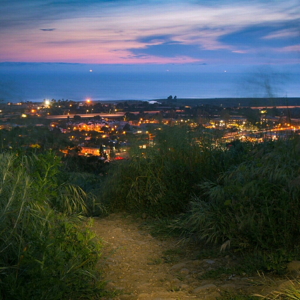 Meet your Posher, Molly