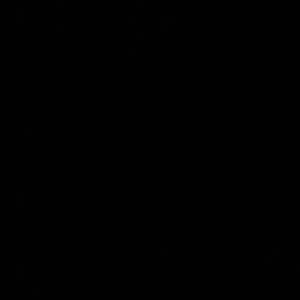 Meet your Posher, Brooklyn