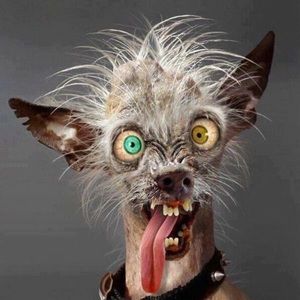 Meet your Posher, Carrie