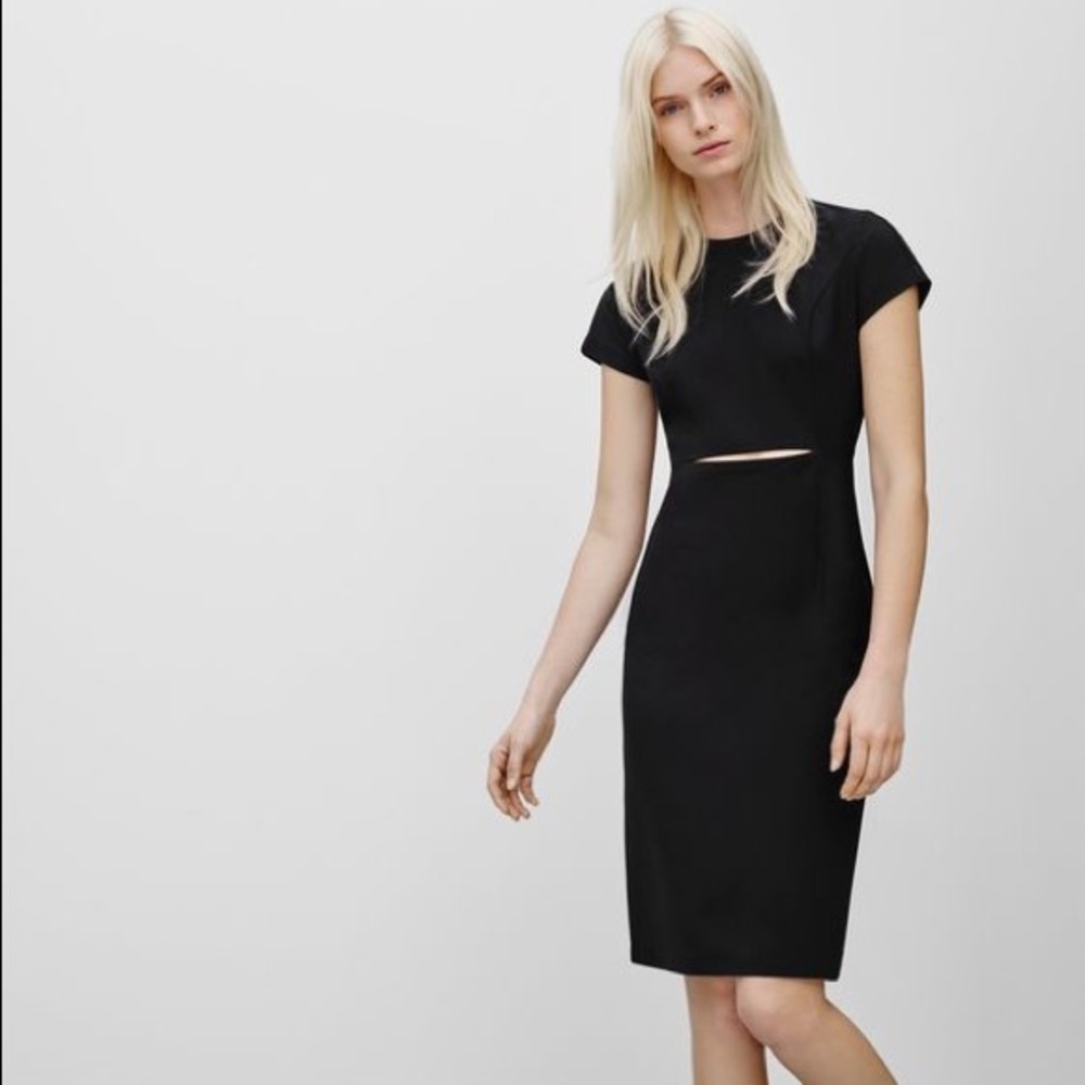 {Babaton/ Aritzia} Black Dress.