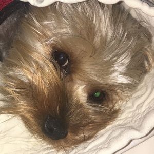 Meet your Posher, Dee