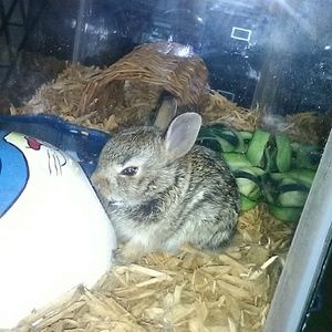 Meet your Posher, Toni