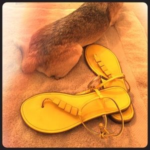 🌞 flat sandals.  Perfect w everything!