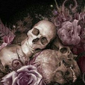 Meet your Posher, Joli