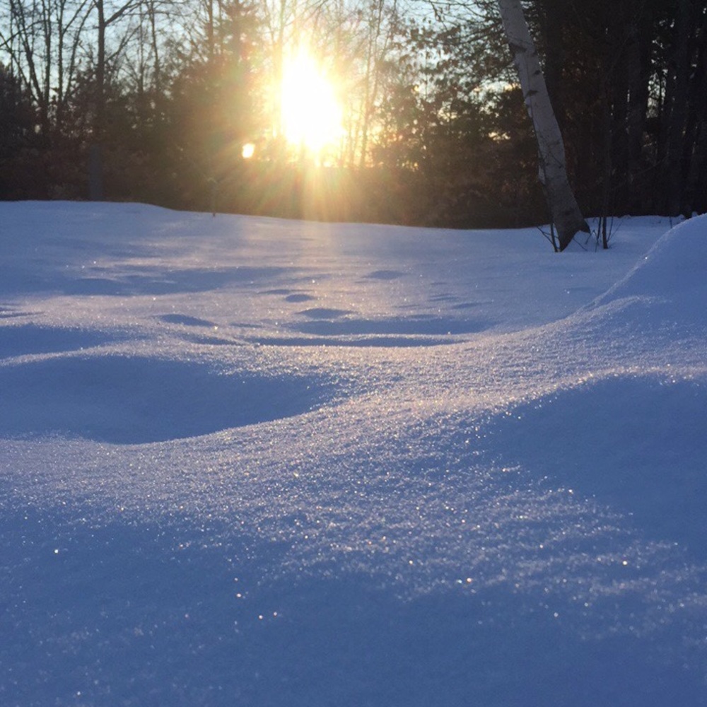 Meet your Posher, Abbey
