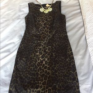 Gorgeous Ann Taylor leopard dress