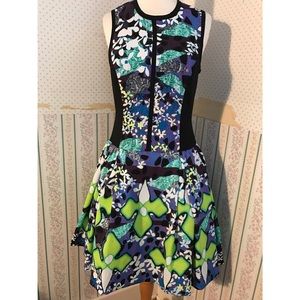 Target Peter Pilotto Dress