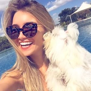 Brand new illesteva sunglasses