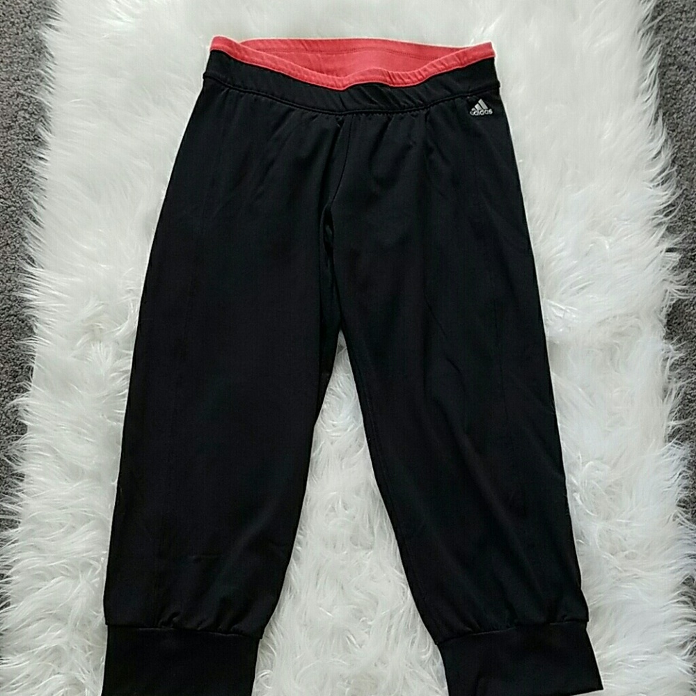 Adidas Workout pants