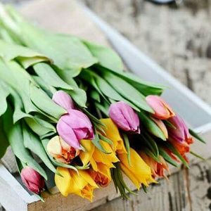 Meet your Posher, Christine