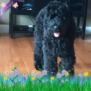 Meet your Posher, Kara