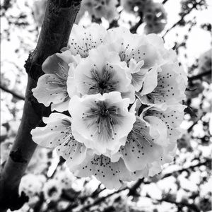 Meet your Posher, Kay