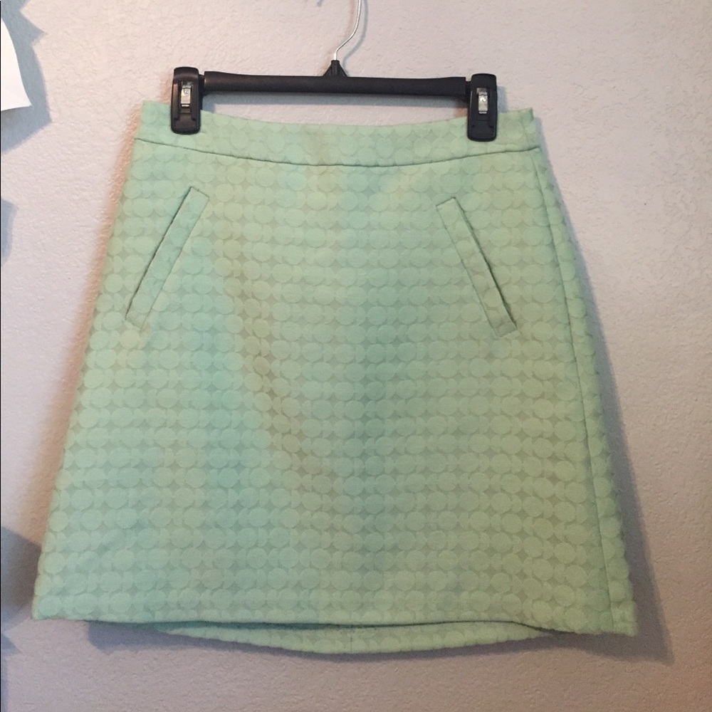 Mint Skirt New With Tags