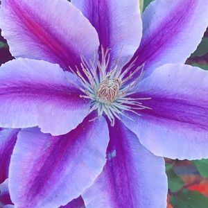 Meet your Posher, Mattie