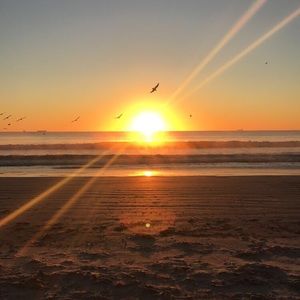 Meet your Posher, Karissa