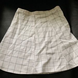 AA Skirt