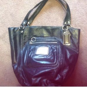 Metallic Black Poppy Coach