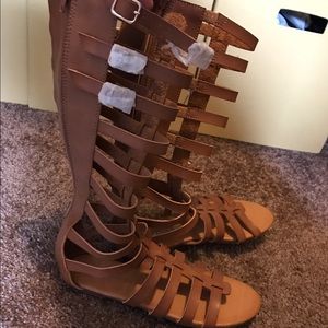 Madden girl gladiators