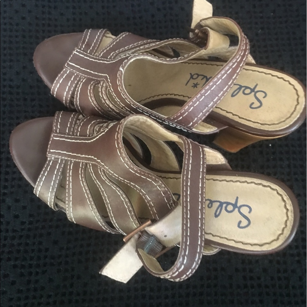 Splendid brown leather shoes