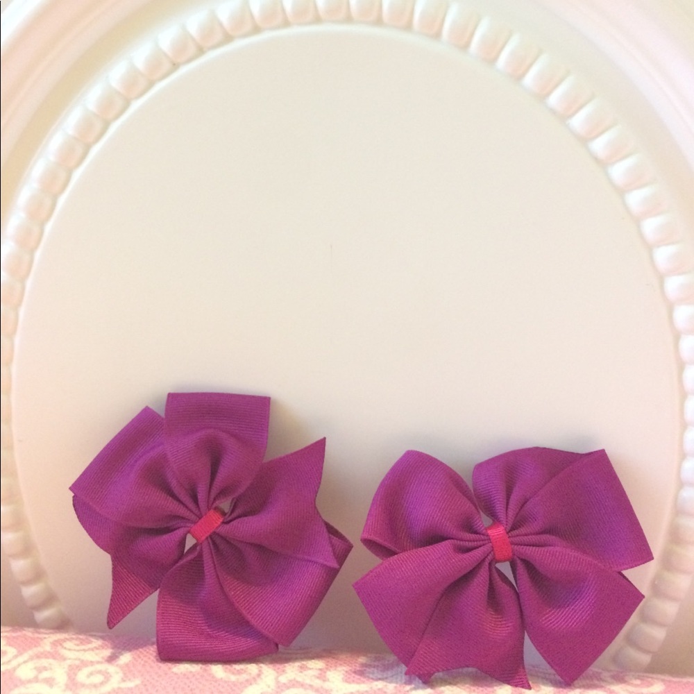 Beautiful Bow Clips!