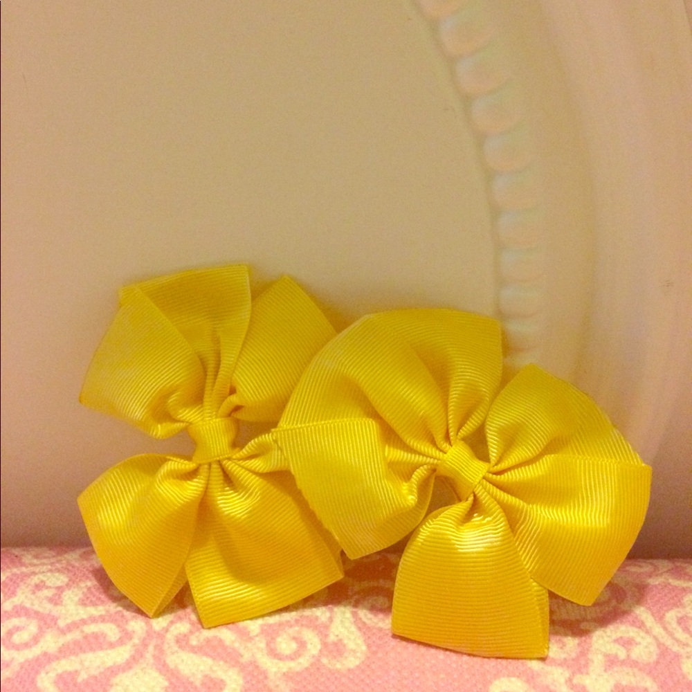 Beautiful Bow Clips!