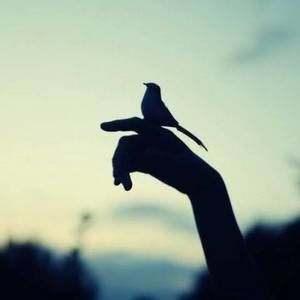 Meet your Posher, Vân