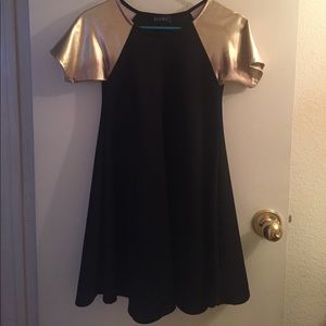 Swing Dress with Metallic Sleeves