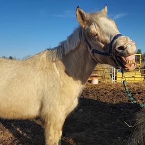 Meet your Posher, Anna