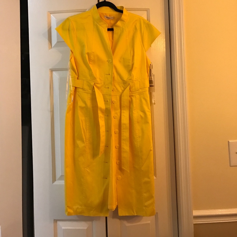 Calvin Klein dress