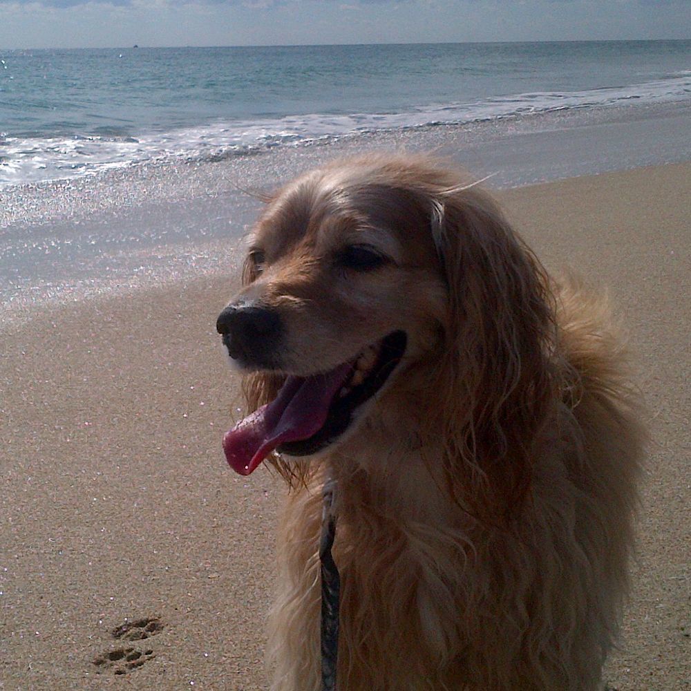 Meet your Posher, Kirstyn