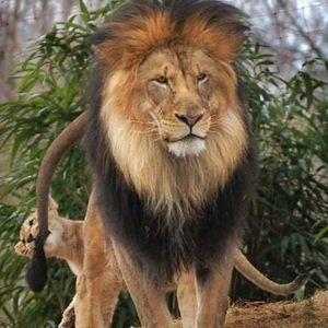 Meet your Posher, Ruth