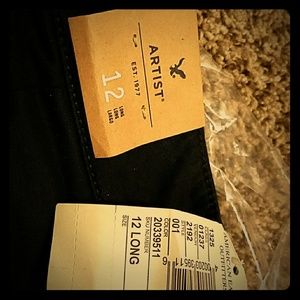 American Eagle Artist Pant
