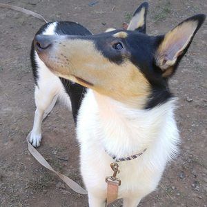 Meet your Posher, Missizz