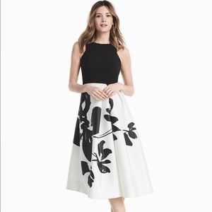 EXPLODED FLORAL PRINTED MIDI FIT AND FLARE DRESS