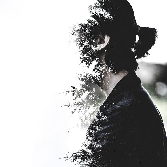 Meet your Posher, Alexander - Picture 1 of 1