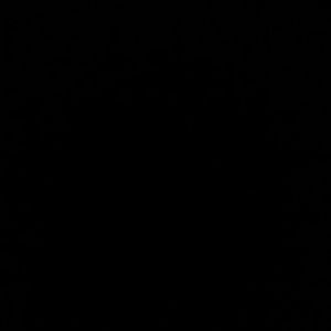 Meet your Posher, Monique