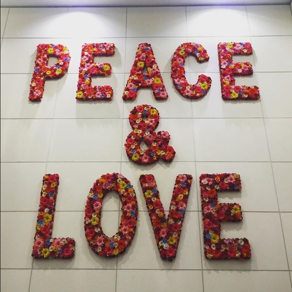 Meet your Posher, Ellie