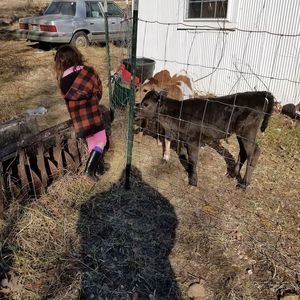 Meet your Posher, Beverly brown