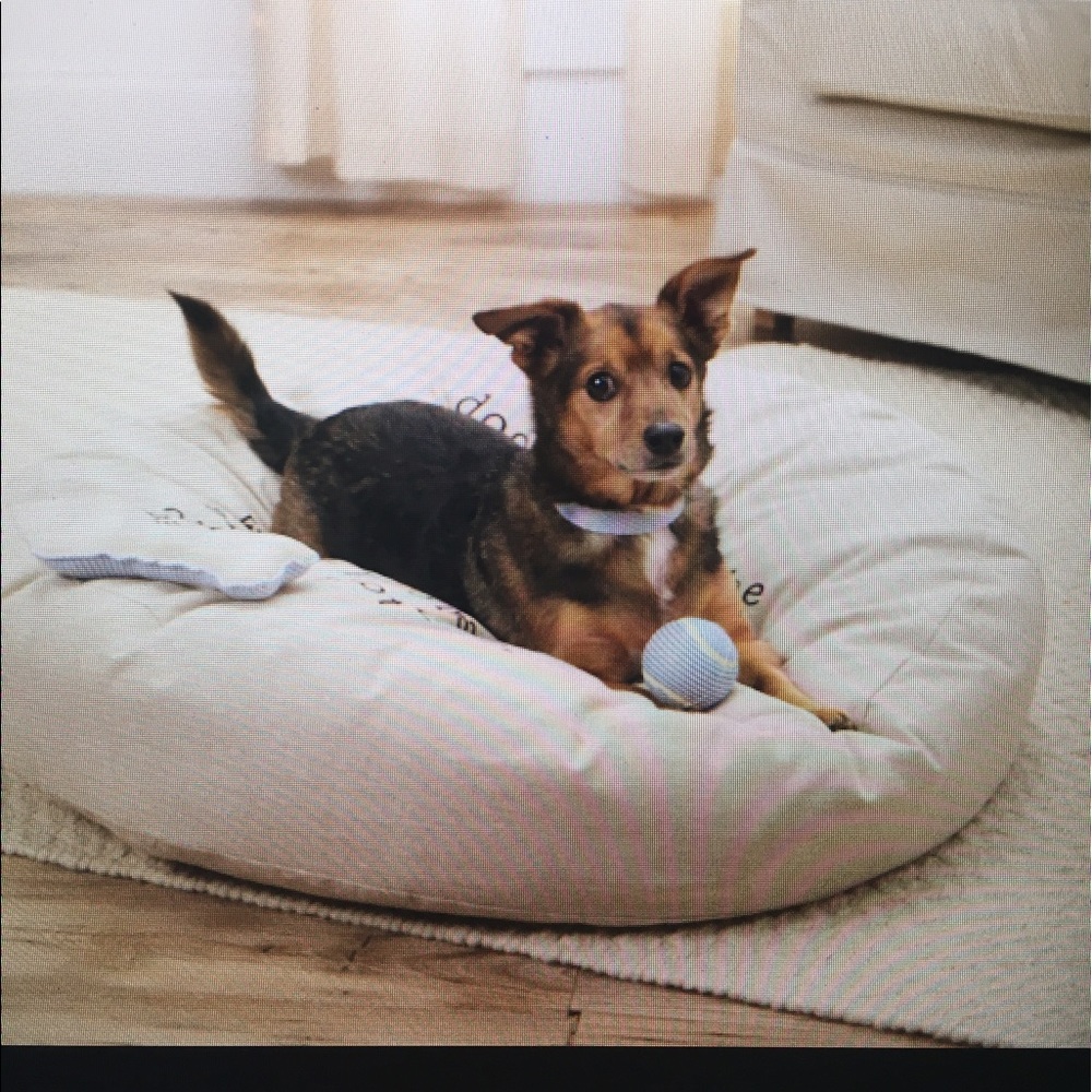 Meet your Posher, Katy