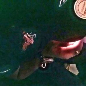 Meet your Posher, Grant