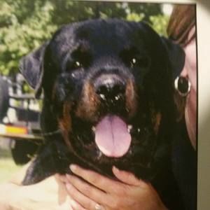 Meet your Posher, Susan