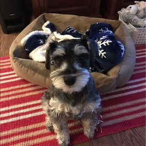 Meet your Posher, Magda