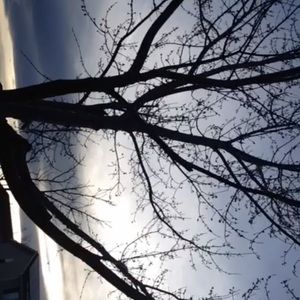 Meet your Posher, Ella