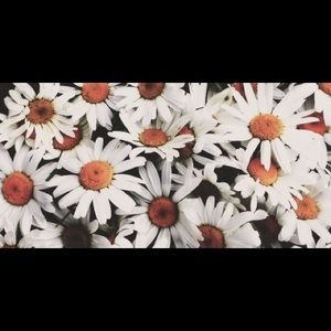 Meet your Posher, Valentina