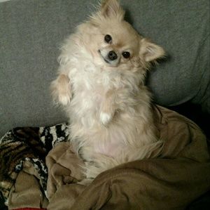 Meet your Posher, Tania