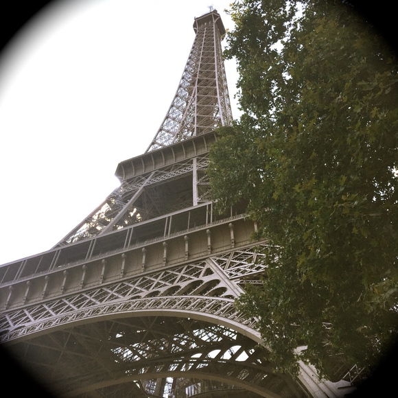 Meet your Posher, Samantha - Picture 4 of 8