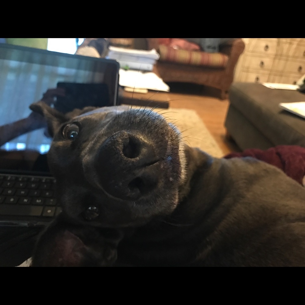 Meet your Posher, Gret