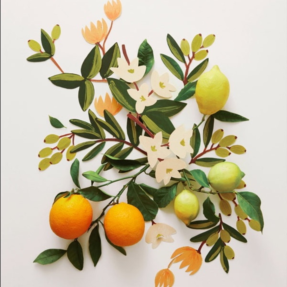 Meet your Posher, Claire