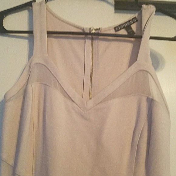 Express nude mesh bodcon body hugging dresss - Picture 3 of 4