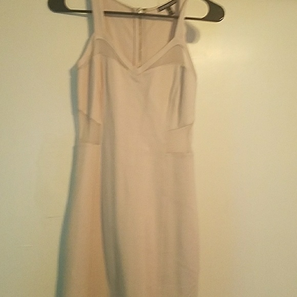 Express nude mesh bodcon body hugging dresss - Picture 4 of 4